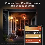 Philips Hue Econic Outdoor White 4