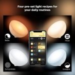 Philips Hue Go White and Color Portable Dimmable LED 4